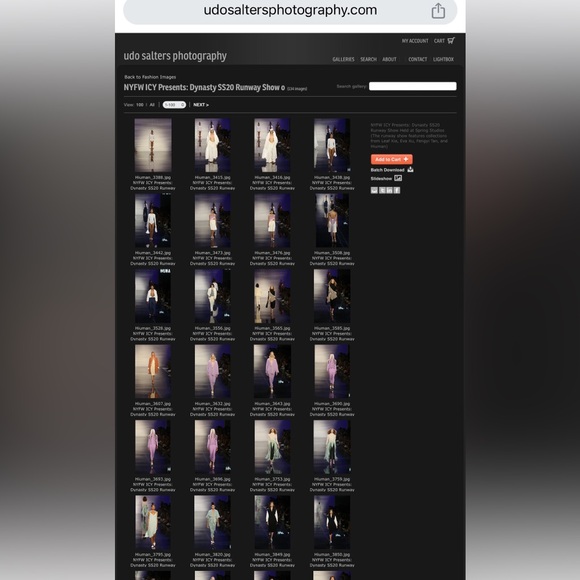 LONGFACE ICY NYFW designed by Xudardar Scroll Gold Pin 🗽 Fashion Week Design - Picture 8 of 8